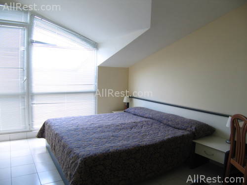 Dolphin Hotel 8